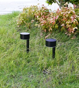 Pack x2 balise led solaire queen à planter