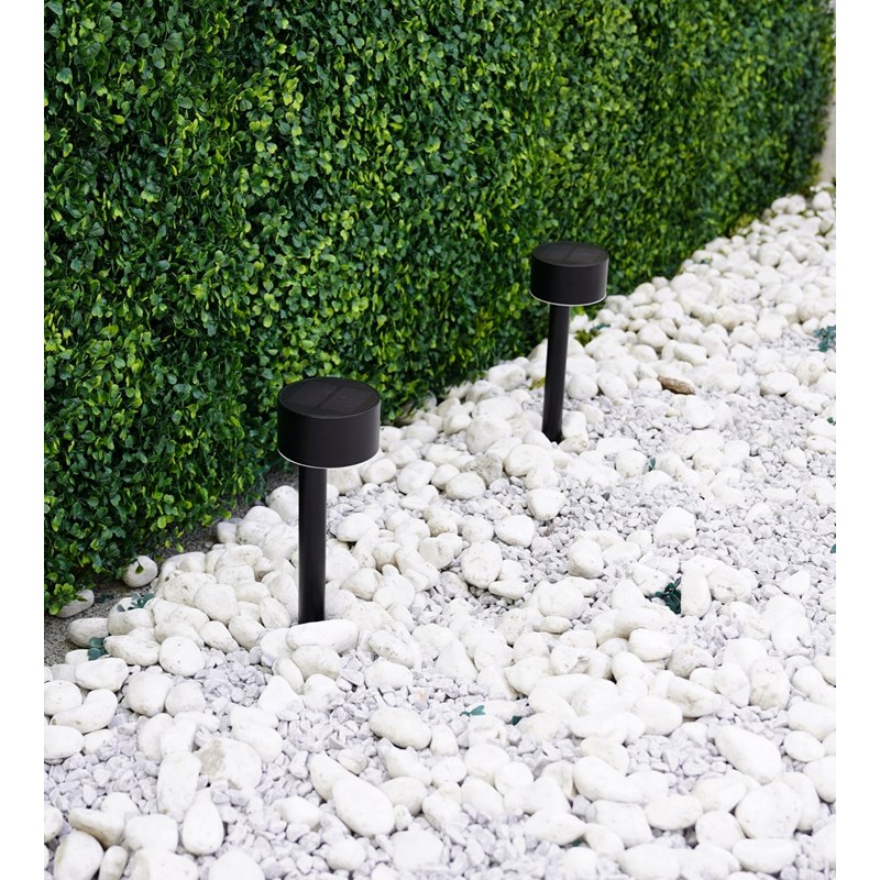 Pack x2 balise led solaire queen à planter