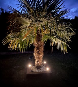 Kit de 3 spots led encastrés solaires inox