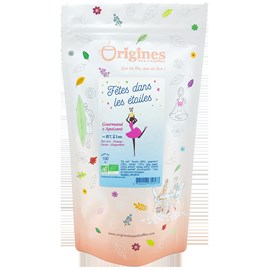 Fêtes dans les étoiles - thé vert bio orange cacao gingembre - sachet noël 100g