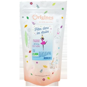 Fêtes dans les étoiles - thé vert bio orange cacao gingembre - sachet noël 100g