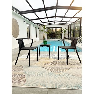 Lot de 2 fauteuils de jardin diego