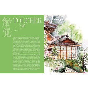 Nihoncha - l'art de déguster le thé japonais