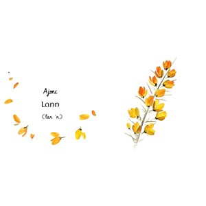 Mon premier imagier de bretagne