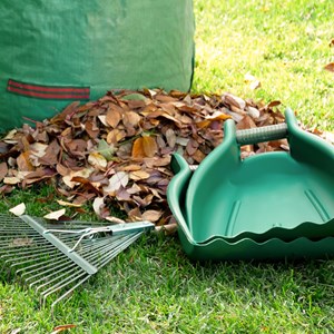 Lot de 2 pelles à feuilles