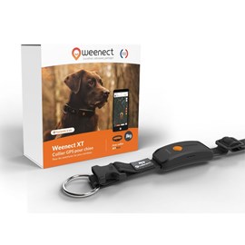 Weenect chien xt - collier gps chien