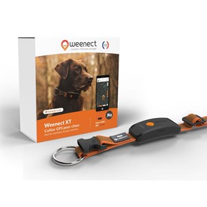 Weenect chien xt - collier gps chien