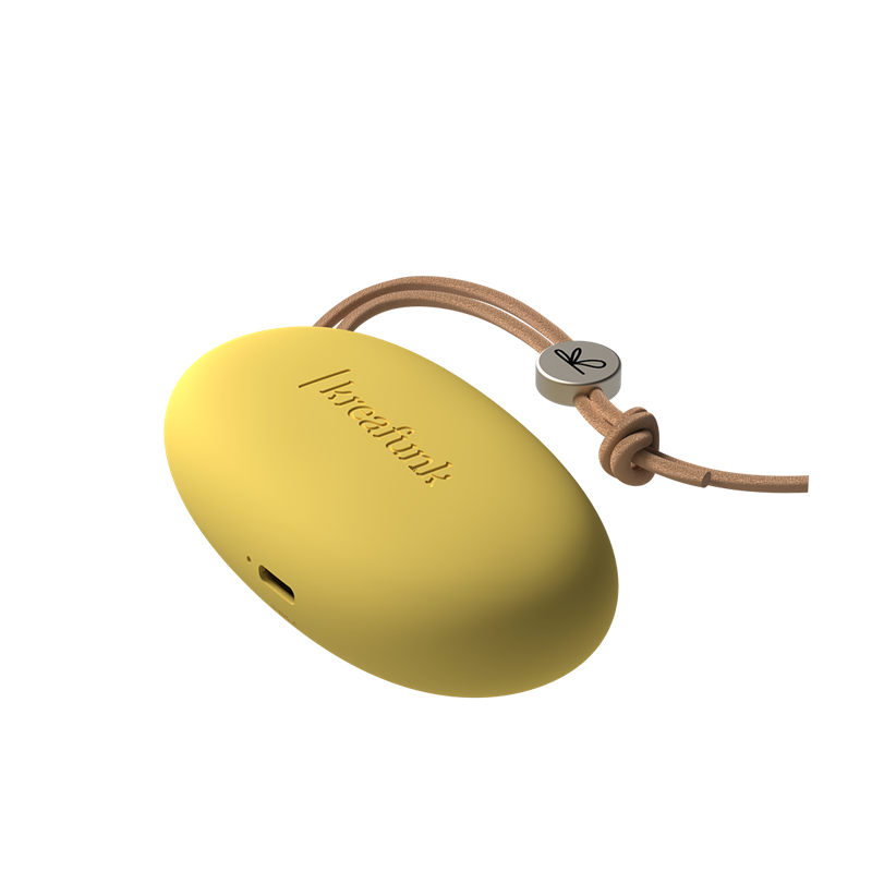 Kreafunk - Batterie externe