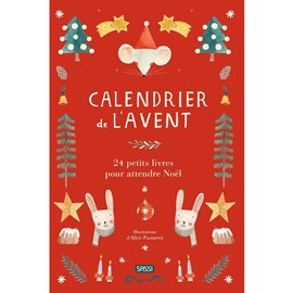 Calendrier de l'avent 24 petits livres r