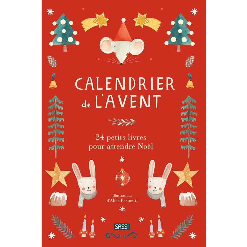Calendrier de l'avent 24 petits livres r