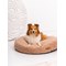 Coussin rond coco teddy beige foncé, taille s, adorable Beige