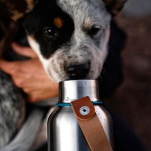 Gourde isotherme-ocean-500ml-en acier inox-24h chaud  12h froid Océan