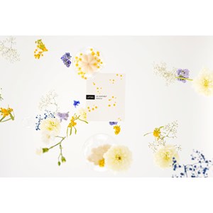 Coffret mimosa : shampoing doux & soin lavant corps