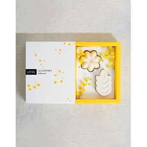 Coffret mimosa : shampoing doux & soin lavant corps