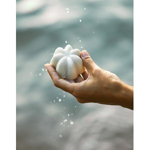 Shampoing après-soleil