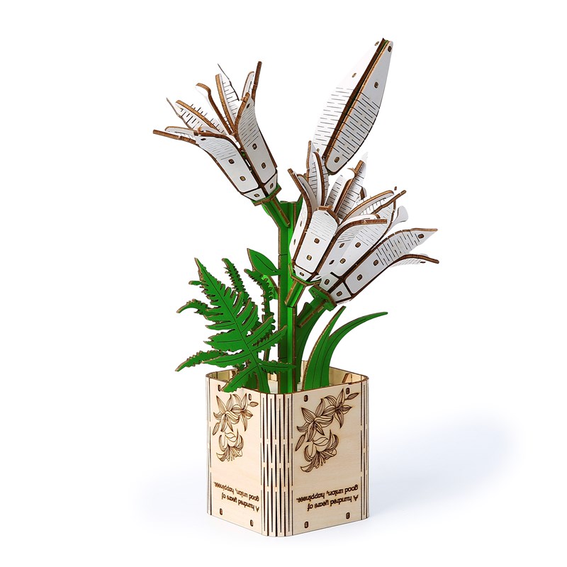 Maquette en bois 3d, design de lys. 136 pièces.