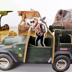 Puzzle 3d afrique sauvage.