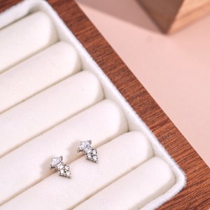 Boucles d'oreilles aurora australis