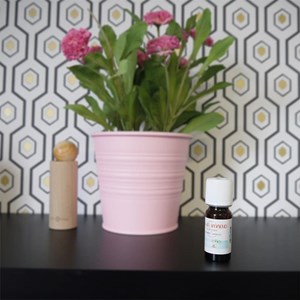 Huile parfumée sous les tropiques