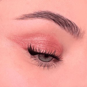 All tigers - fard à paupières naturel & vegan