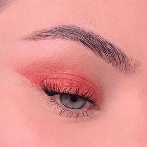 All tigers - fard à paupières naturel & vegan