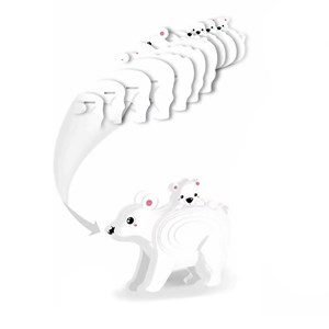 Puzzle 3d en carton en relief. Design d'ours polaire.