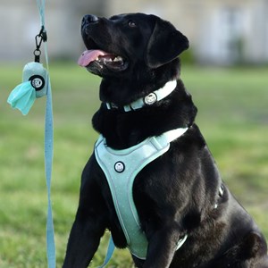 Distributeur de sacs à crottes (rouleau inclus) - vert pastel