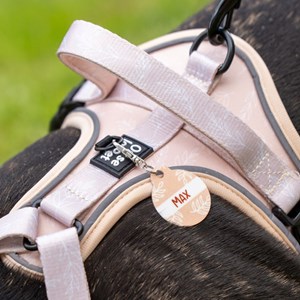 Harnais pour chien confortable et résistant - beige tropical - taille s