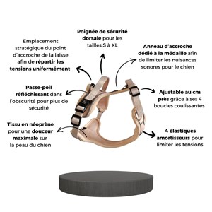 Harnais pour chien confortable et résistant - beige tropical - taille s