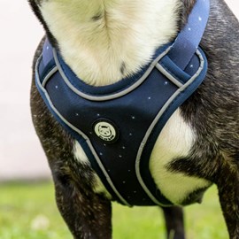 Harnais pour chien confortable et résistant - bleu nuit - taille xs