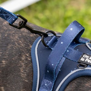 Harnais pour chien confortable et résistant - bleu nuit - taille xs