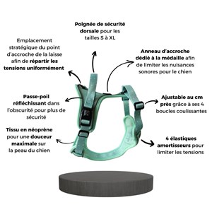 Harnais pour chien confortable et résistant - vert pastel - taille s