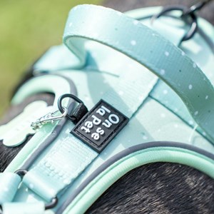 Harnais pour chien confortable et résistant - vert pastel - taille xl