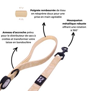 Laisse pour chien avec poignée rembourrée - beige tropical - taille s