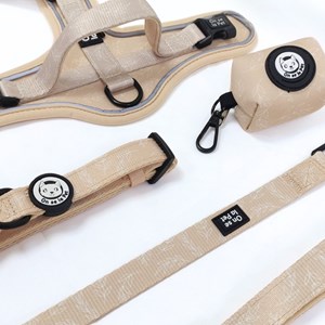 Laisse pour chien avec poignée rembourrée - beige tropical - taille m