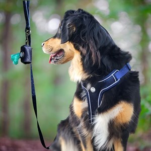 Laisse pour chien avec poignée rembourrée - bleu nuit - taille m