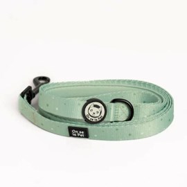 Laisse pour chien avec poignée rembourrée - vert pastel - taille s