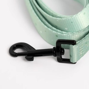 Laisse pour chien avec poignée rembourrée - vert pastel - taille s