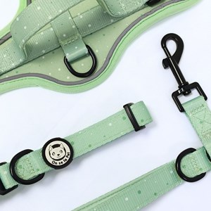 Laisse pour chien avec poignée rembourrée - vert pastel - taille s