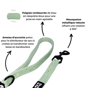 Laisse pour chien avec poignée rembourrée - vert pastel - taille m