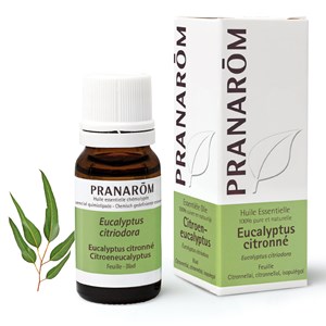 Pranarom - huile essentielle d'eucalyptus citronné - 10 ml