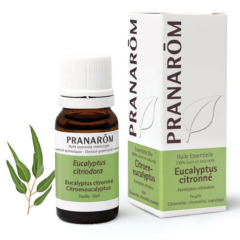 Pranarom - huile essentielle d'eucalyptus citronné - 10 ml
