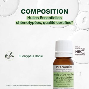 Pranarom - huile essentielle d'eucalyptus radié