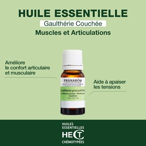 Pranarom - huile essentielle de gaulthérie couchée