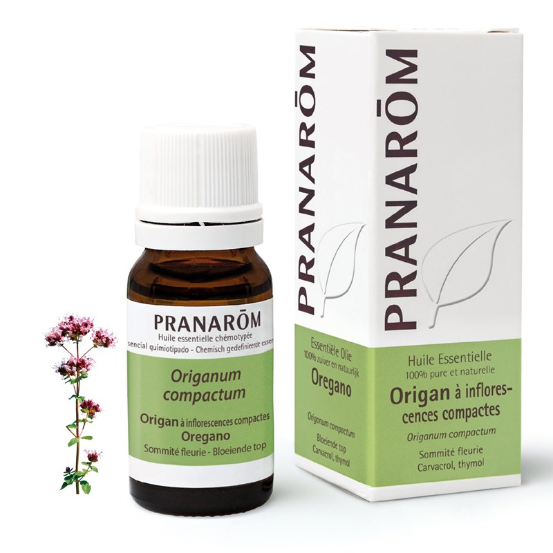 Pranarom - origan à inflorescences compactes - 10 ml