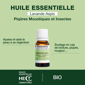 Pranarom - huile essentielle de lavande aspic - bio