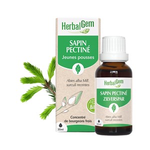 Herbalgem - bourgeon de sapin pectiné - bio