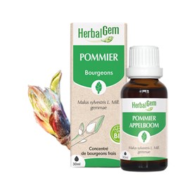 Herbalgem - bourgeon de pommier - bio