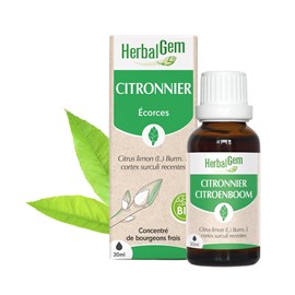 Herbalgem - bourgeon de citronnier - bio