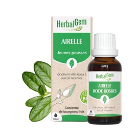 Herbalgem - bourgeon d'airelle - bio
